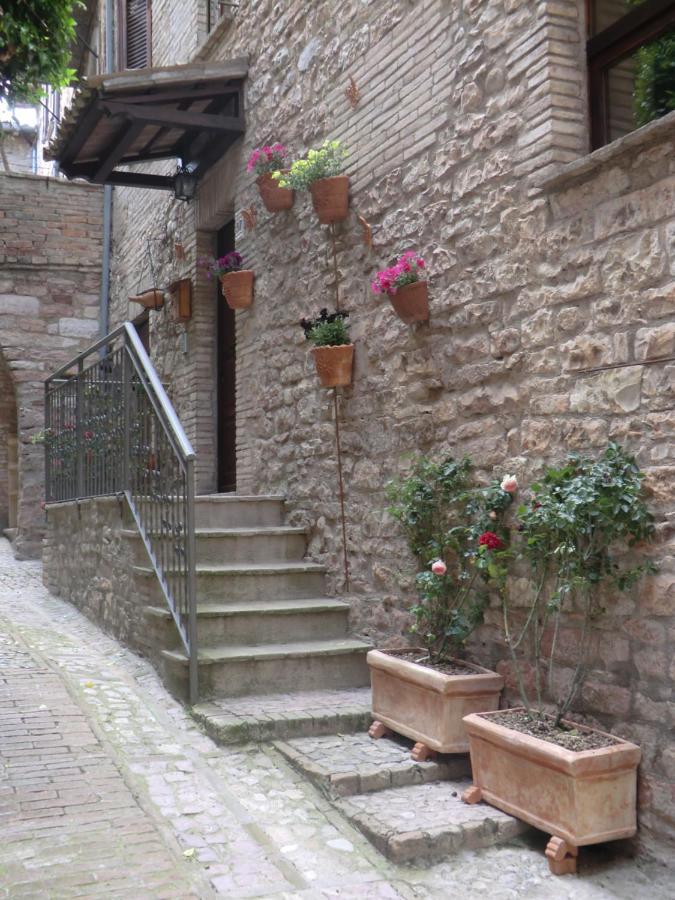 La Corta Di Spello Camere Buitenkant foto